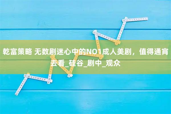 乾富策略 无数剧迷心中的NO1成人美剧，值得通宵去看_硅谷_剧中_观众